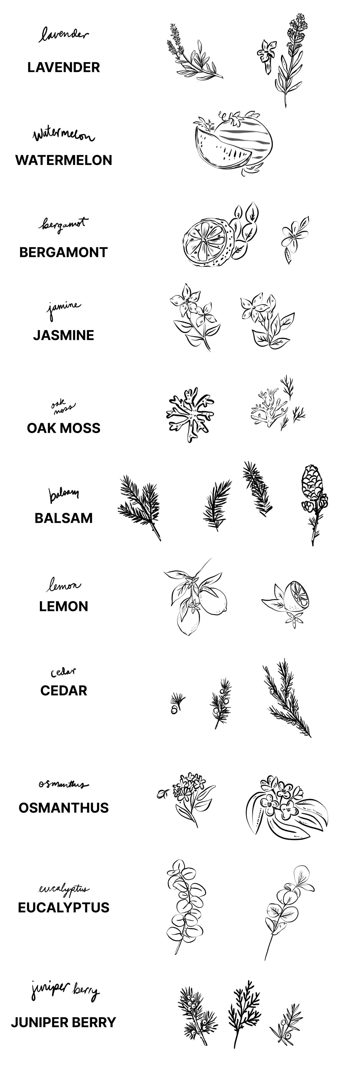 line drawings