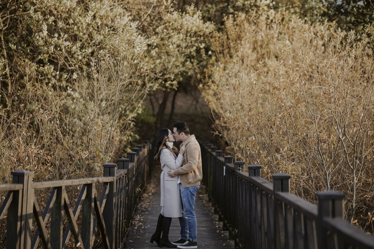 the couple kissing in the bridge of damyang eco park