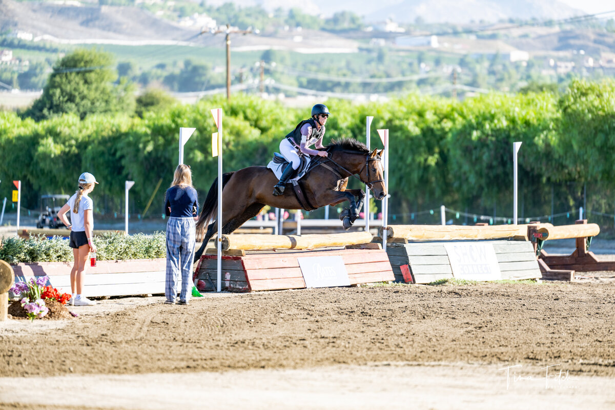 R Dream Girl Sired by R Blue Moon