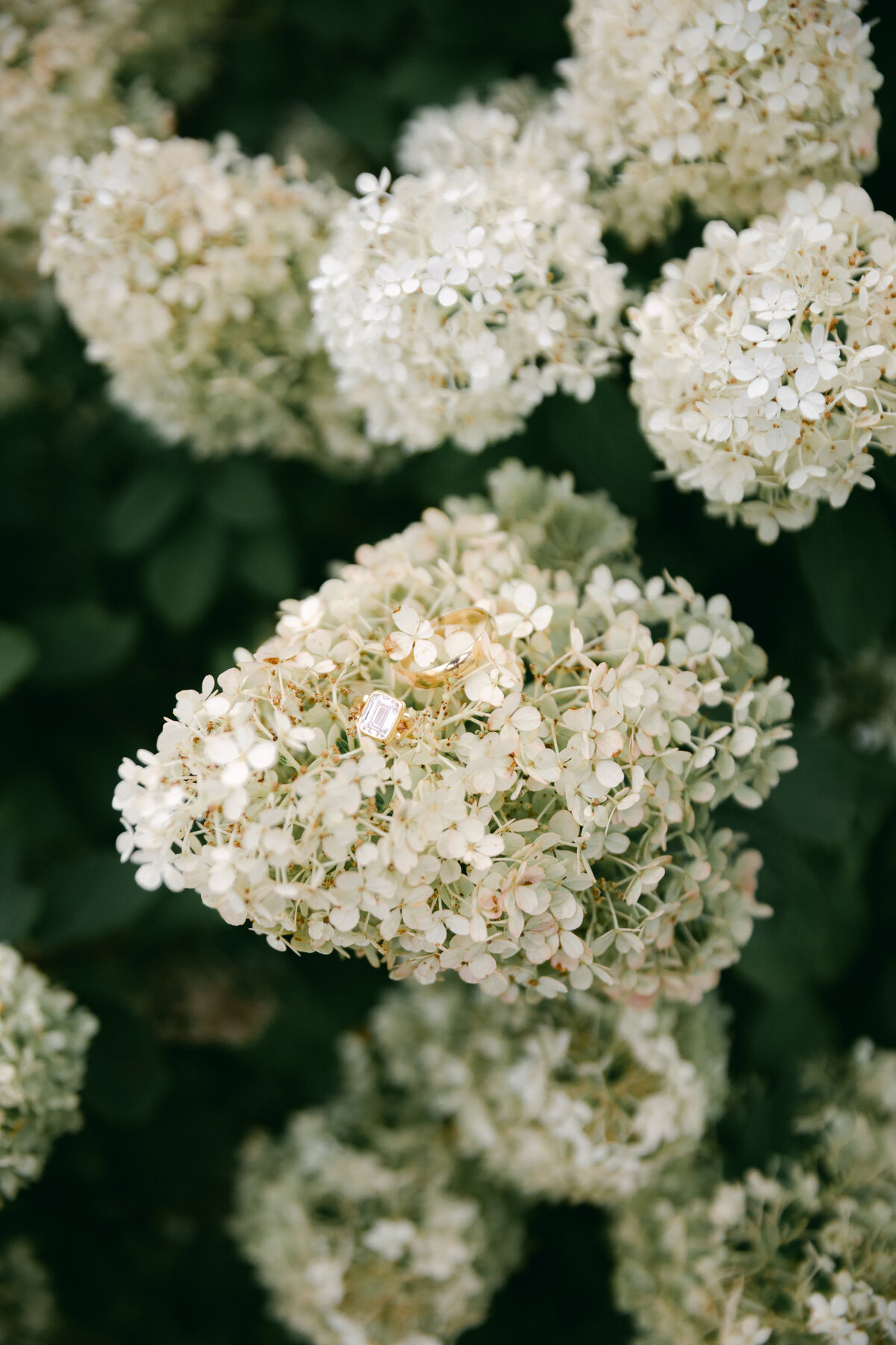 emerald-cut-engagement-ring-on-hydrangea-bloom
