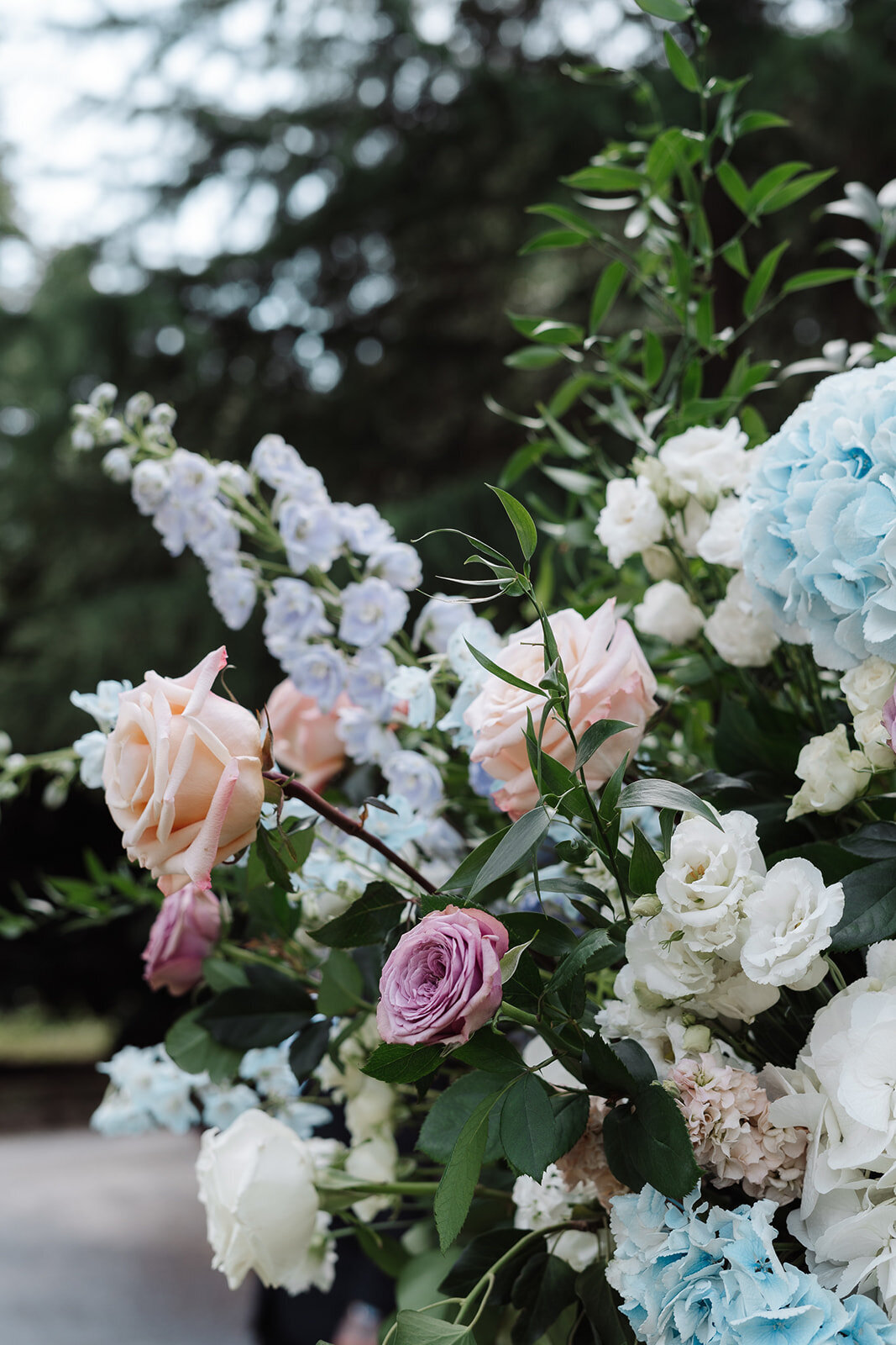 C&C Ceremony-006_websize