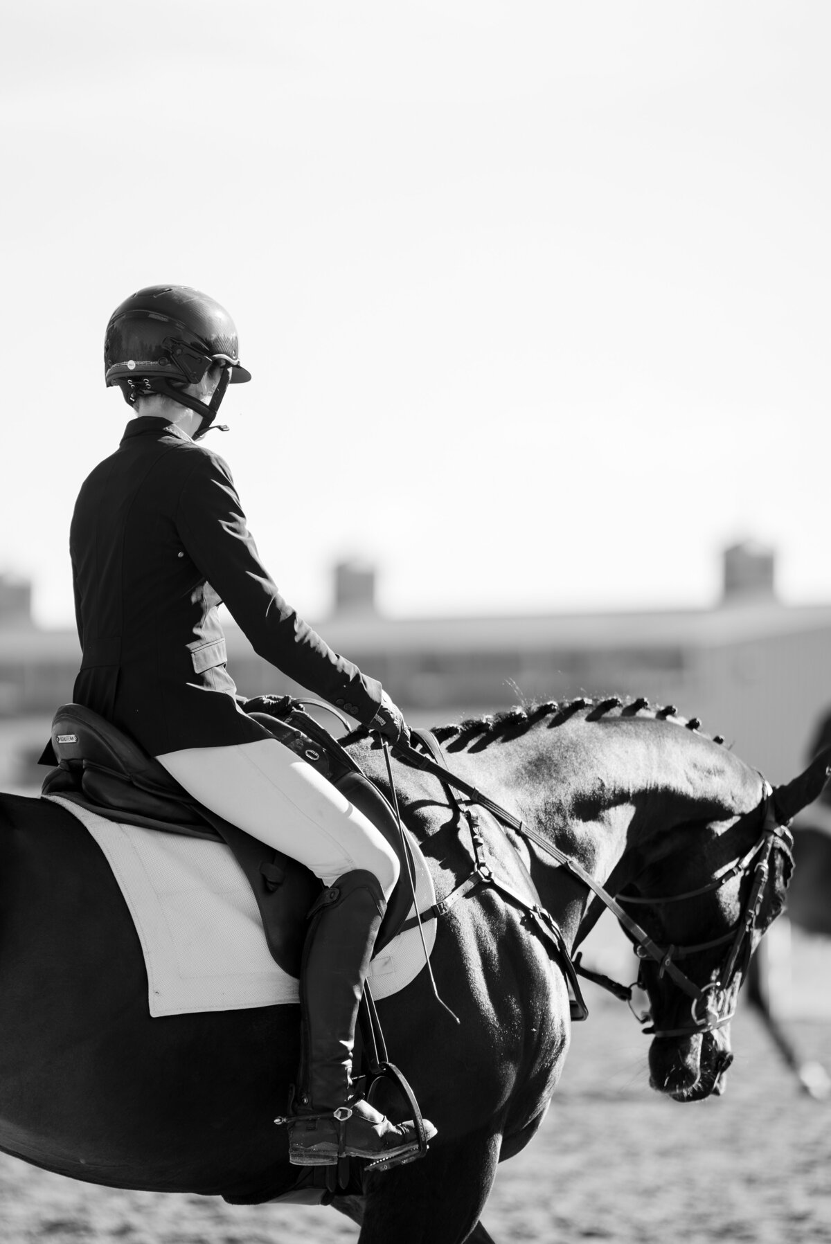 VHCDressage-2