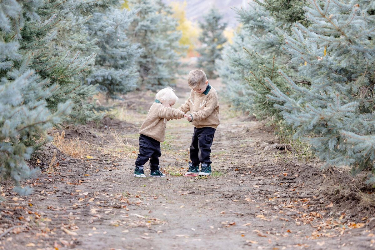 Utah-County-UT-Christmas-Tree-Farm-Mini-Session-Magnolia-and-Grace-Photography-Co-AshbyilyinJ-# (1)-16