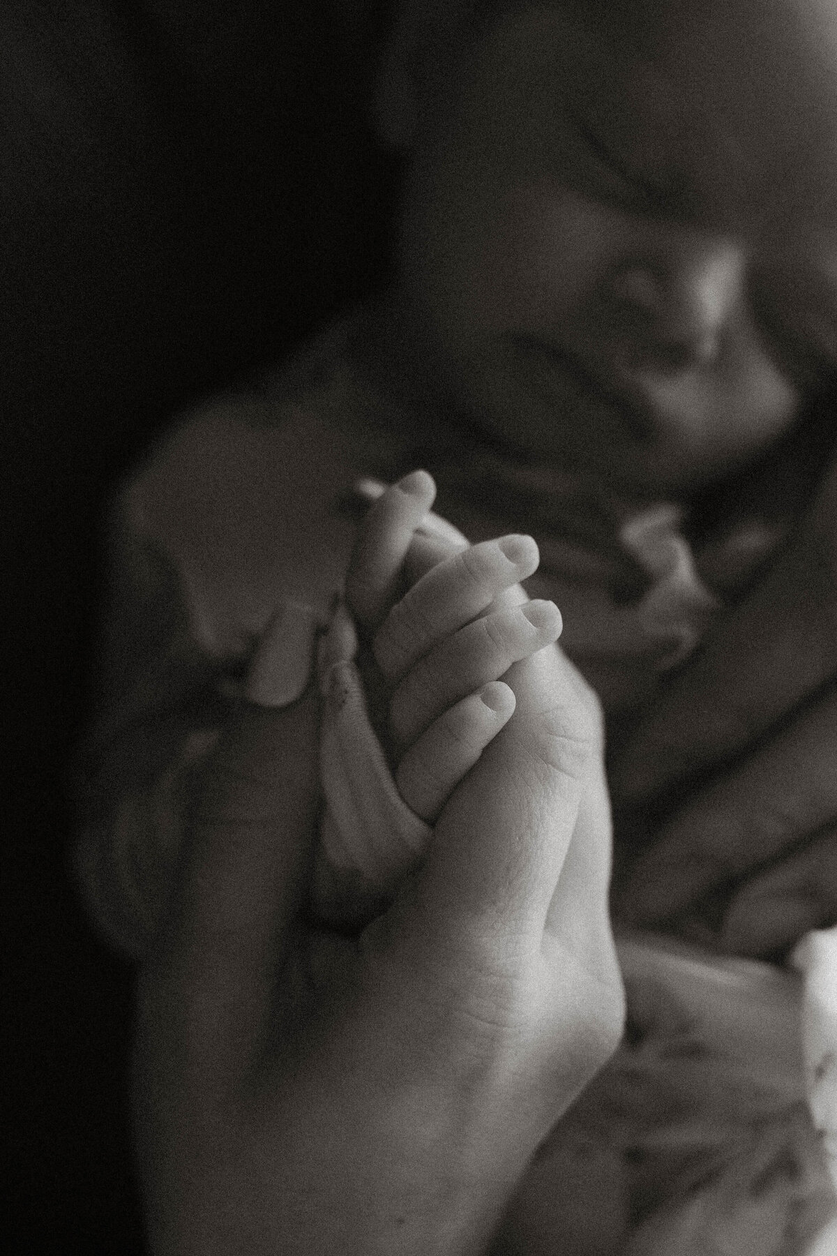 The Woodlands Newborn Photographer (1)