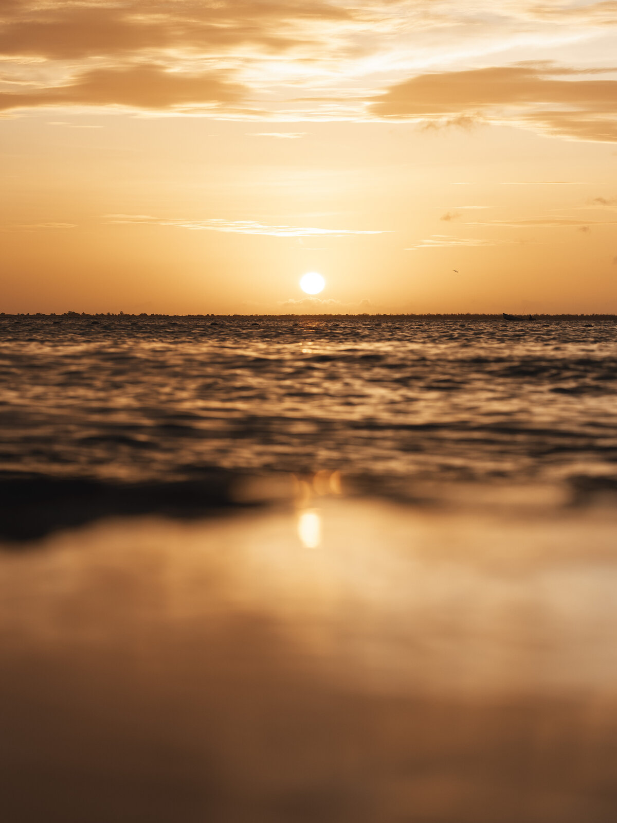 rachgcleve_062024_-35