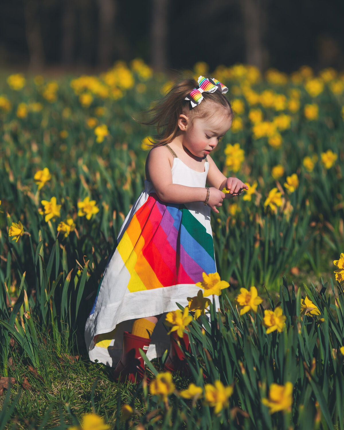 Raleigh-family-photographer-5