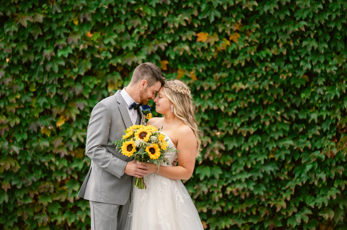 3531-Engagement Photography Nicole Hollenkamp St Cloud MN Central MN