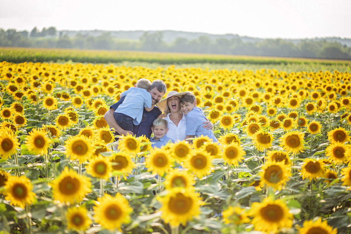 kdsunflowers16