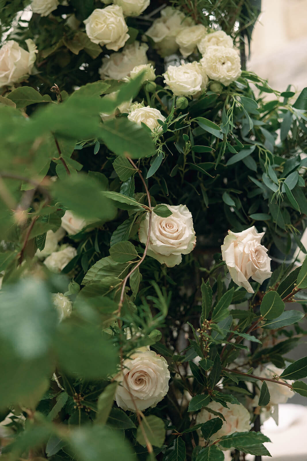 close up of roses on chuppah decoration