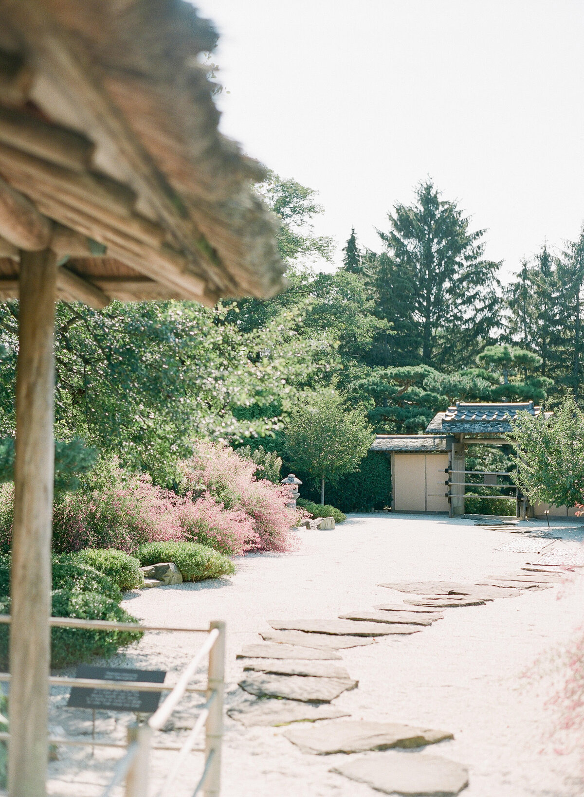 at the japanese garden in chicago