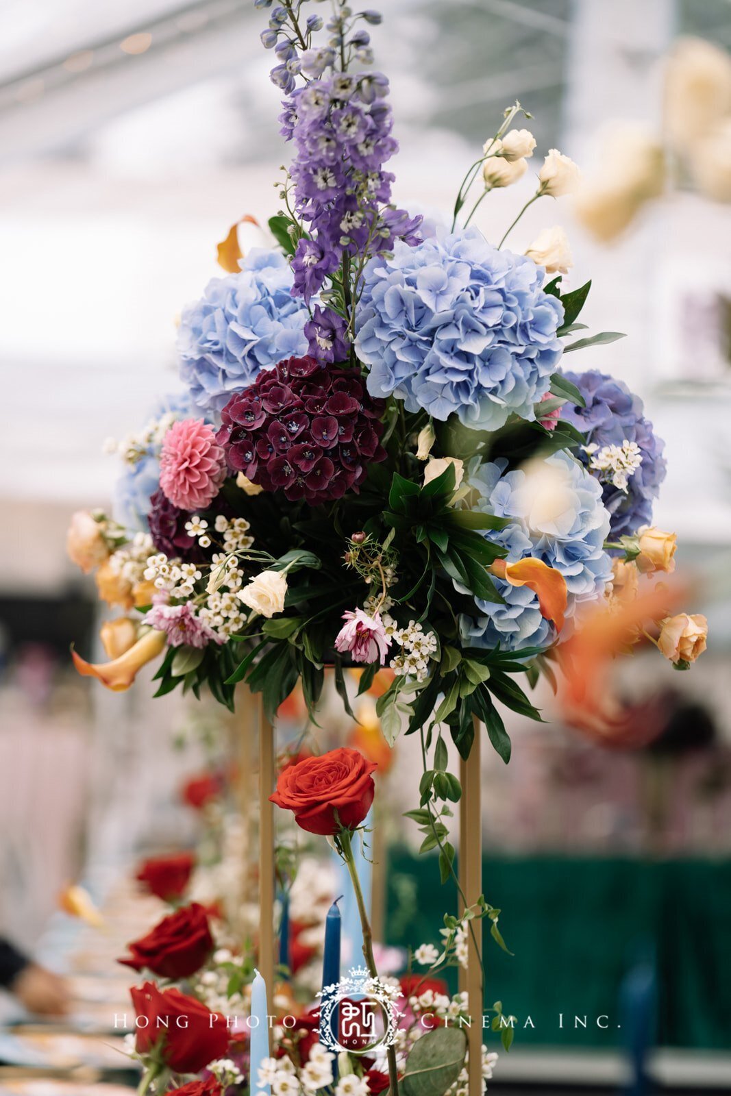 DSC01674_websize