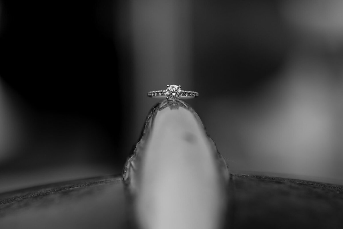 B2 Engagement - Momma Penguin Photography-96