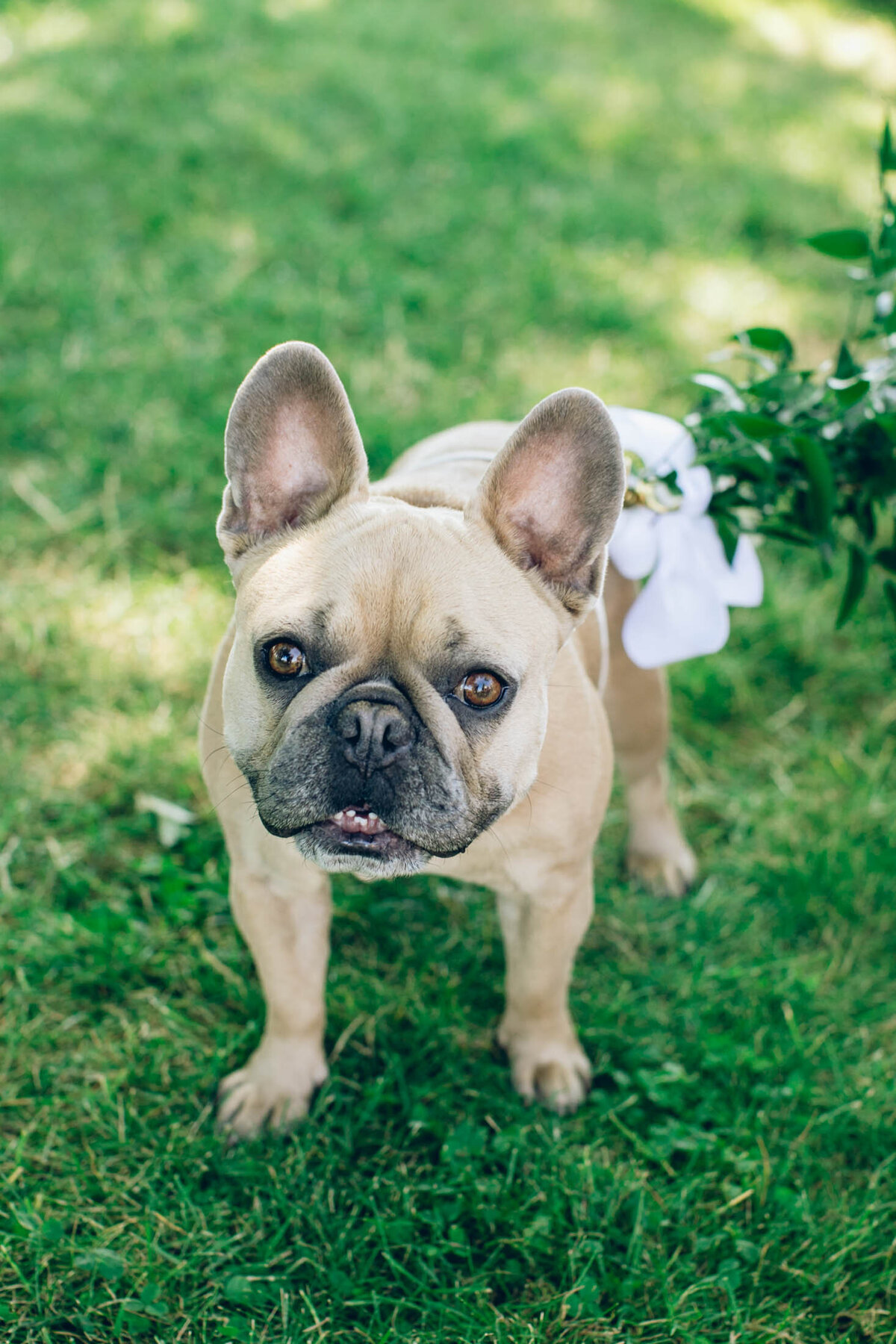 Jennie-Andrew-Wedding-Barn-Kestrel-ANIKO-64