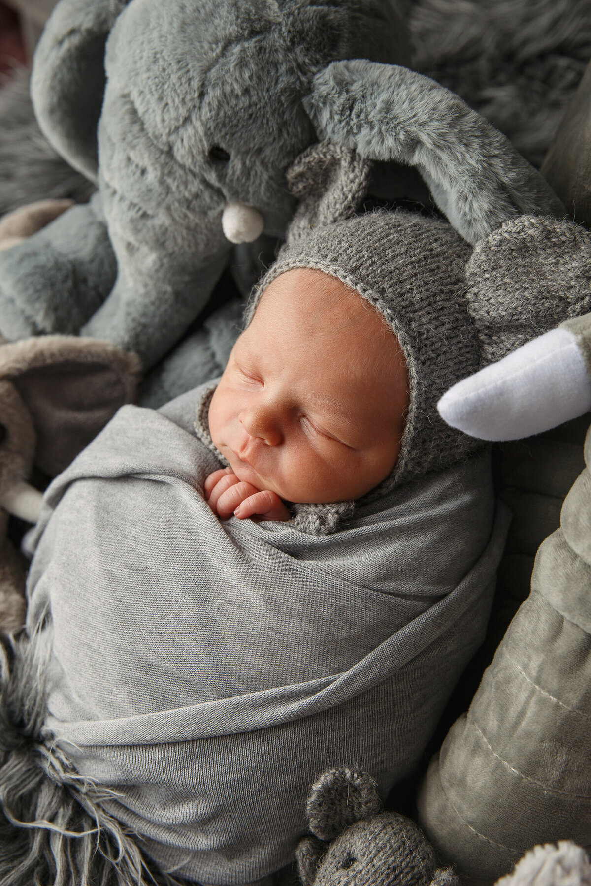 Cute new born wrapped in a gray blanket and resting with stuffed elephants