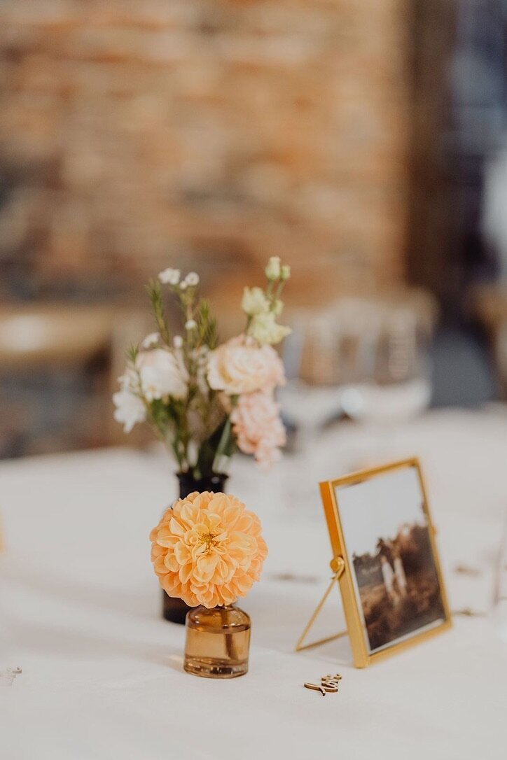 5421A2E3-5E5B-402E-86B5-13A963CE32DE_1_105_c