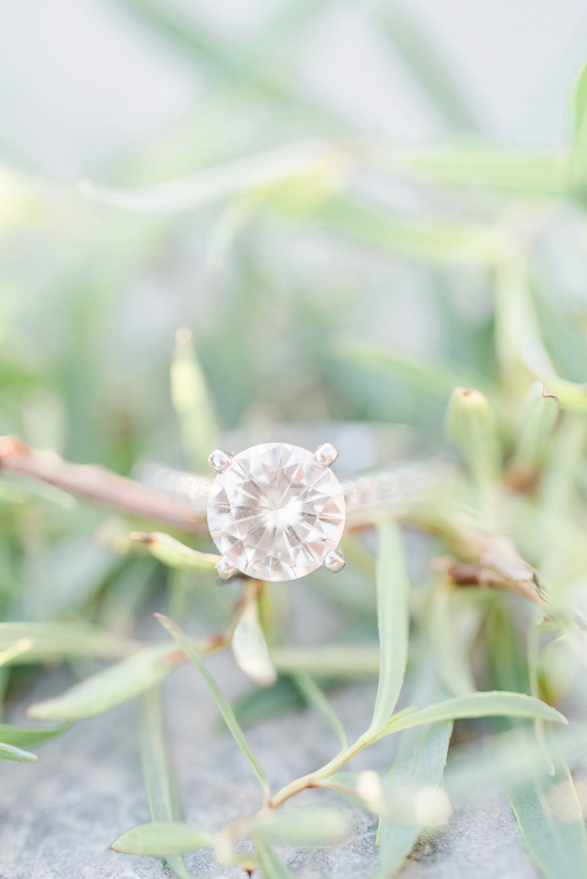 stephanie-kase-photography_0507