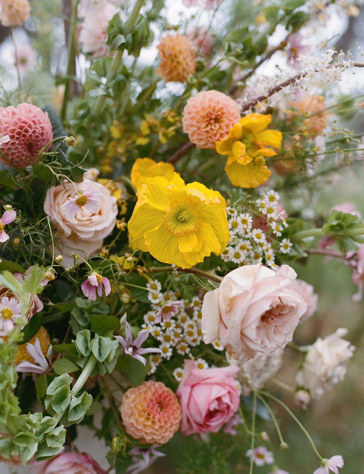 Izzy & Charles_Film Preview-39