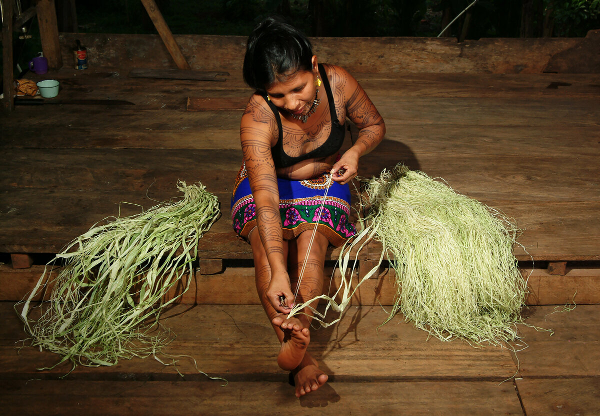 Stripping chunga palm filaments requires  an unusual form of dexterity