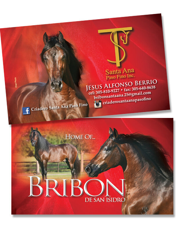 horse farm stallion business card graphic design