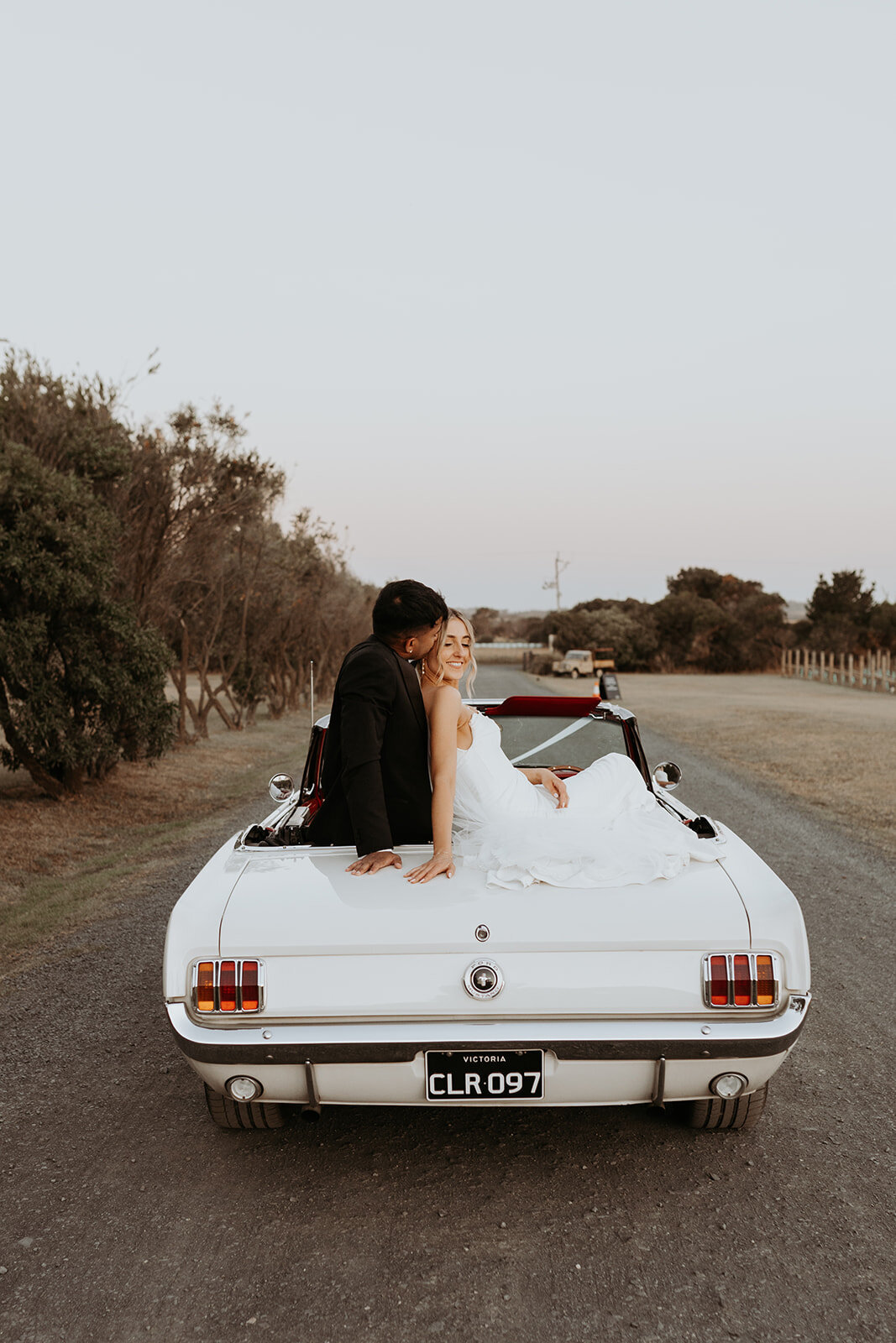Sneak peek (180 of 195)