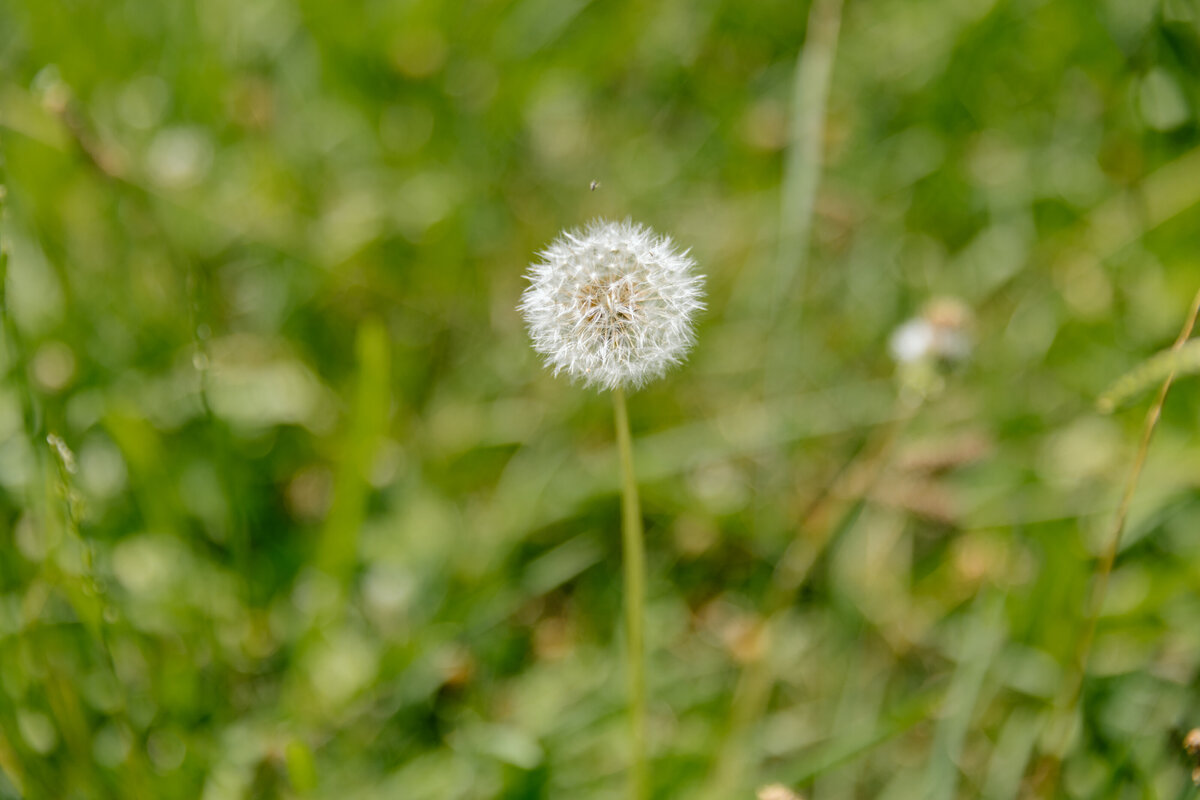 Rere_workeshop3-4-02.25-7166