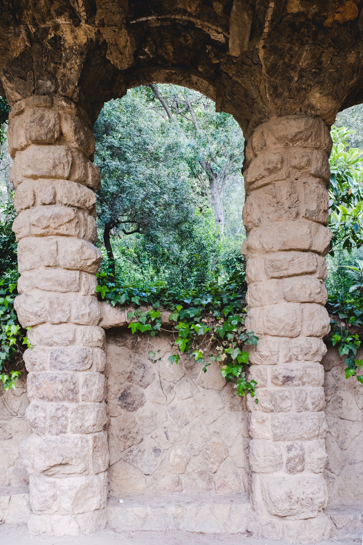 Stone and Vine