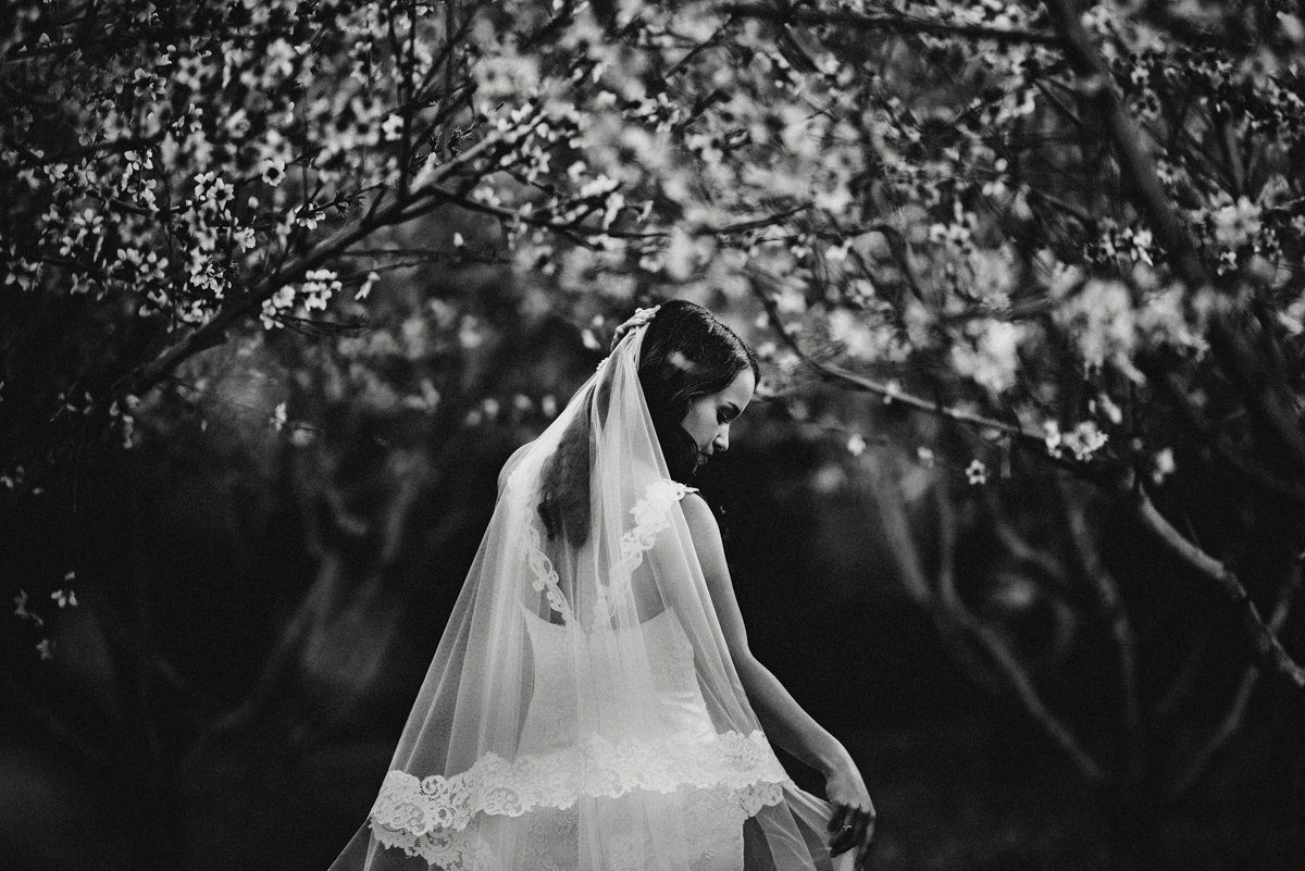1_charlotte_nc_wedding_photographer_bridal_057