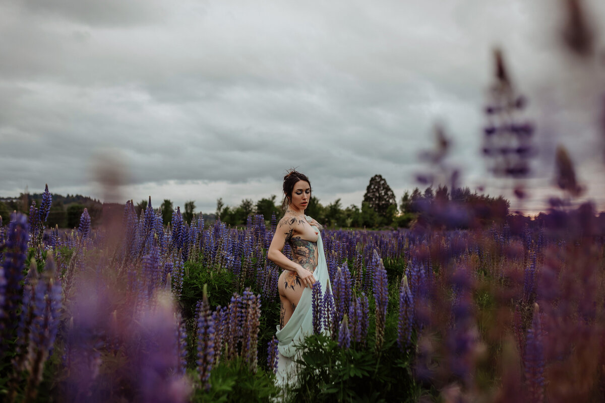 carolyn-lupines-120