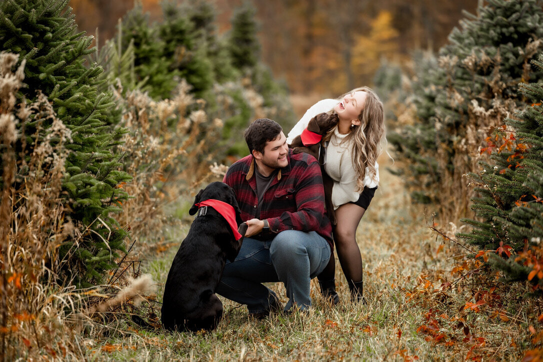 C00C5658-5D08-4882-B826-0D7AA60A1E0C_1_105_c