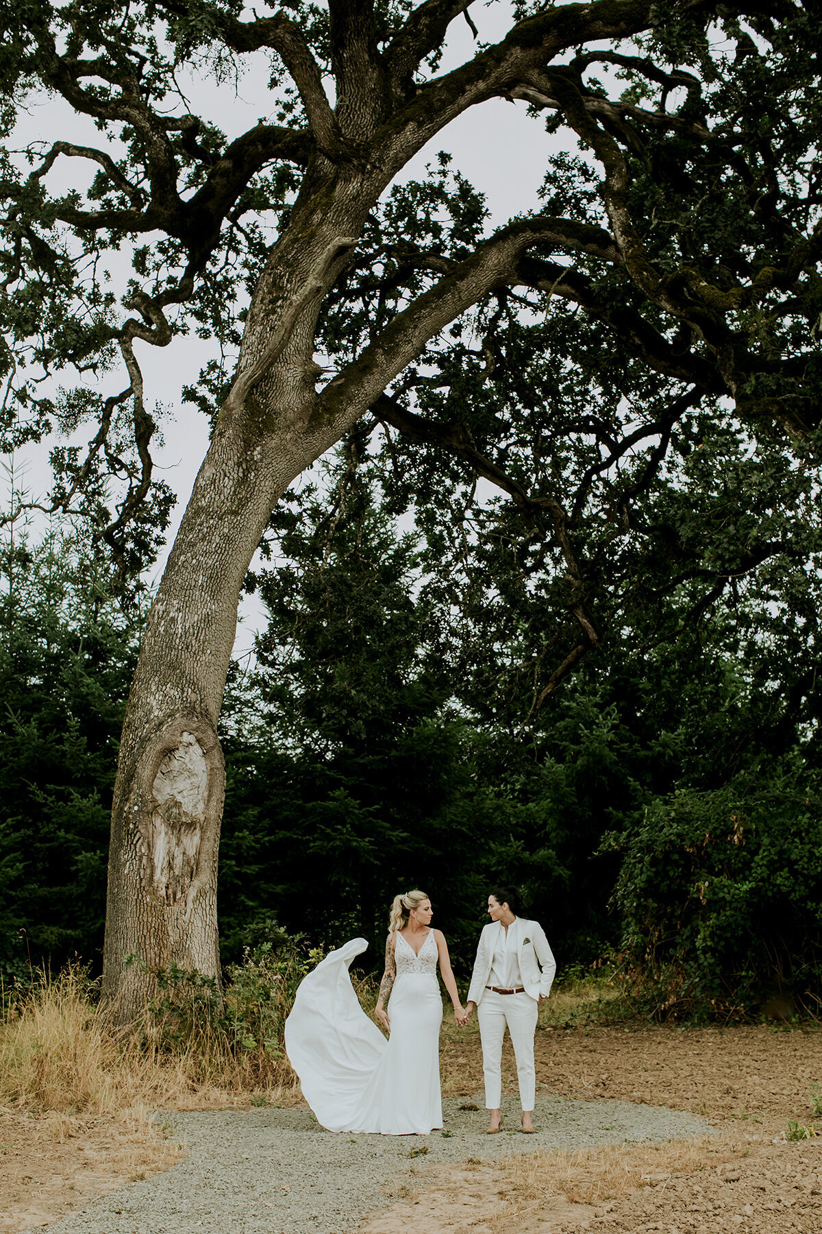 Hazelwood-photo-Portland-wedding-photographer-ghost-hill-cellars