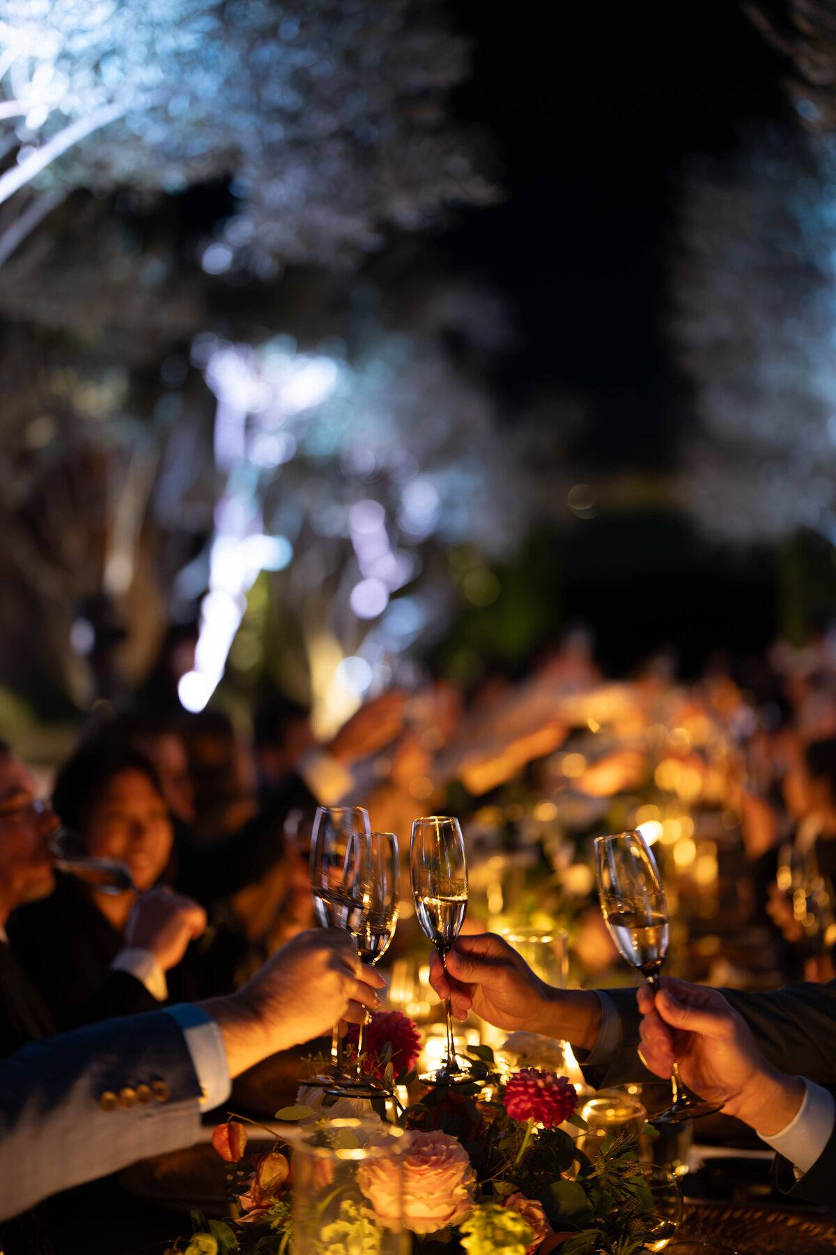 DSC05375-Enhanced-NR