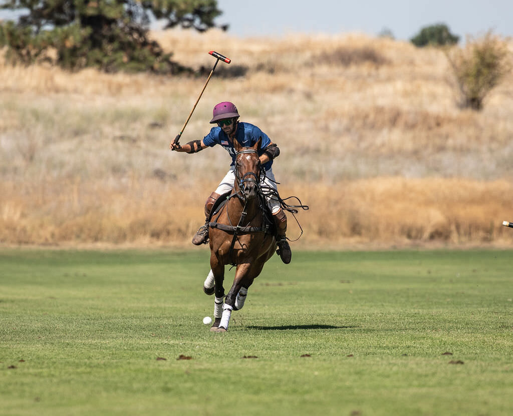 20230902_kya-photography-equestrian-photographer_0034