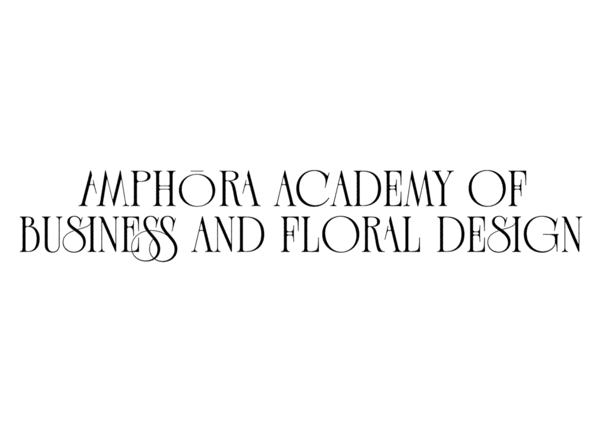 Amphora Academy | Amphora Edu