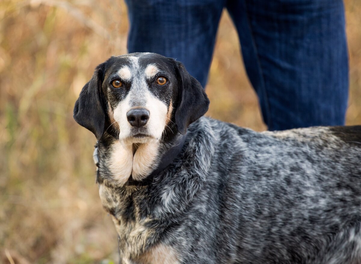 Karra Kostya Photo - Hounds Hashtag Headshots_0263