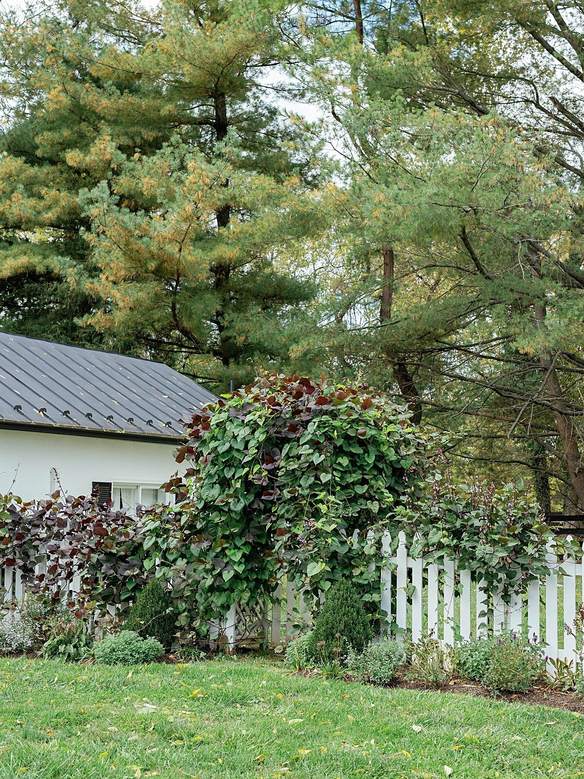 private-estate-wedding-middleburg-virginia-the-hancocks_1050