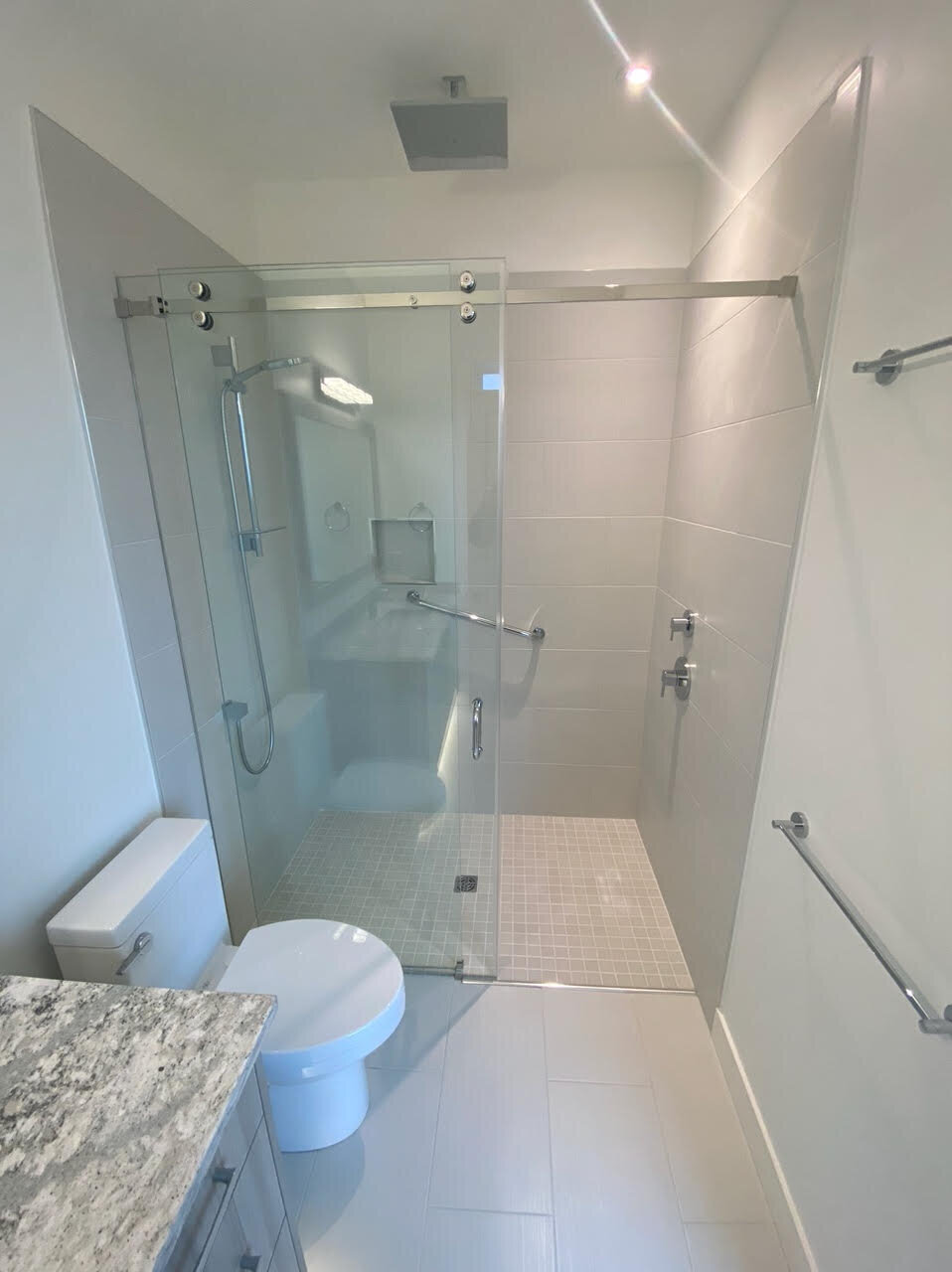 Contemporary bathroom design with walk in shower, handrail, stainless fixtures.