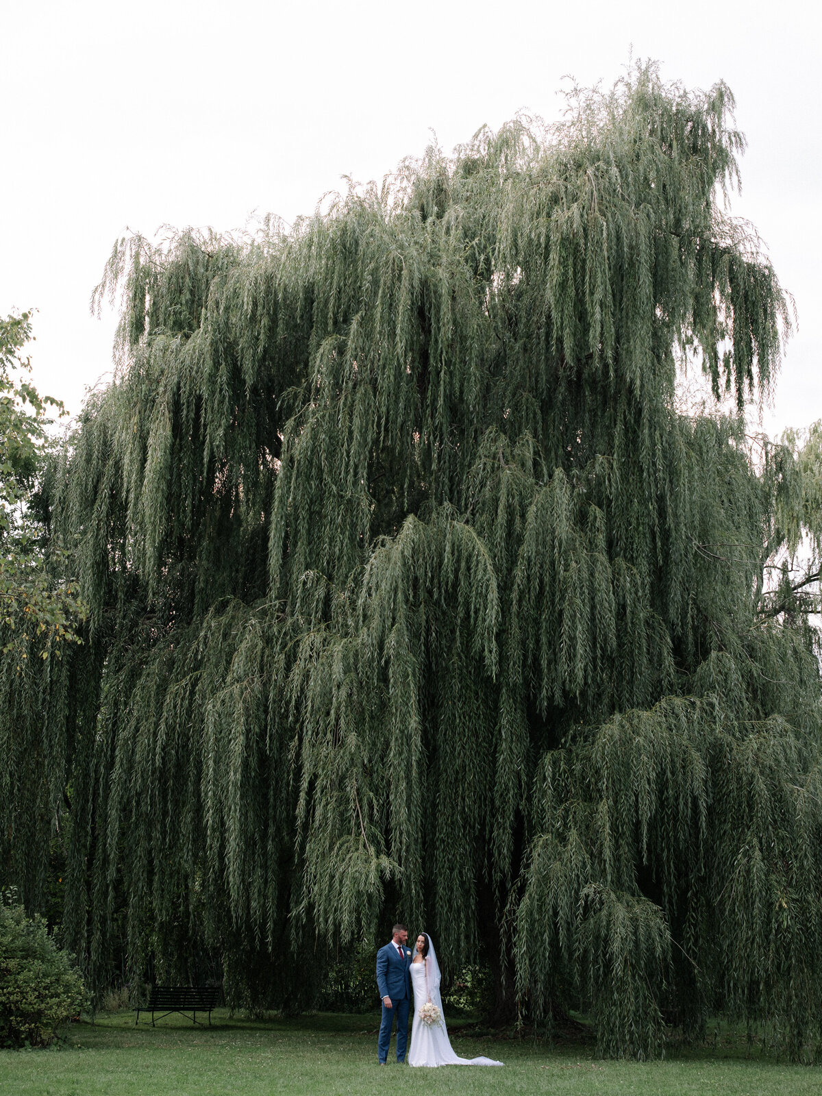 large willow tree with newlyweds posing in front