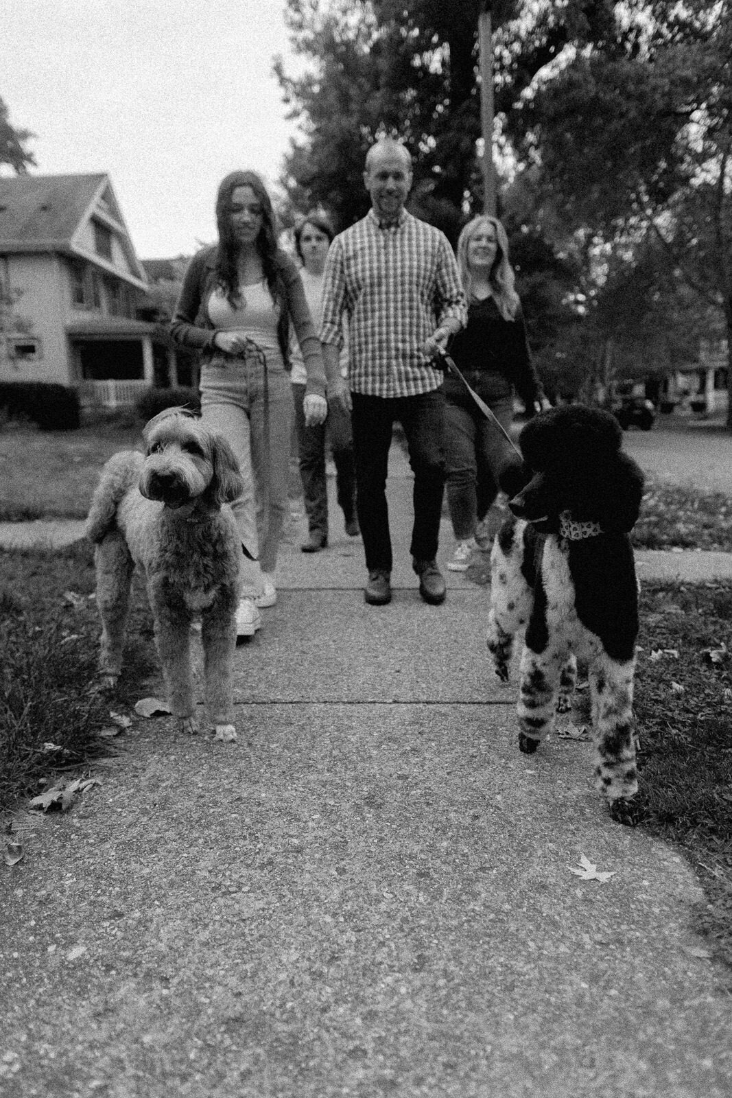 illinois-family-photos-home-dogs-joy-teenagers-17