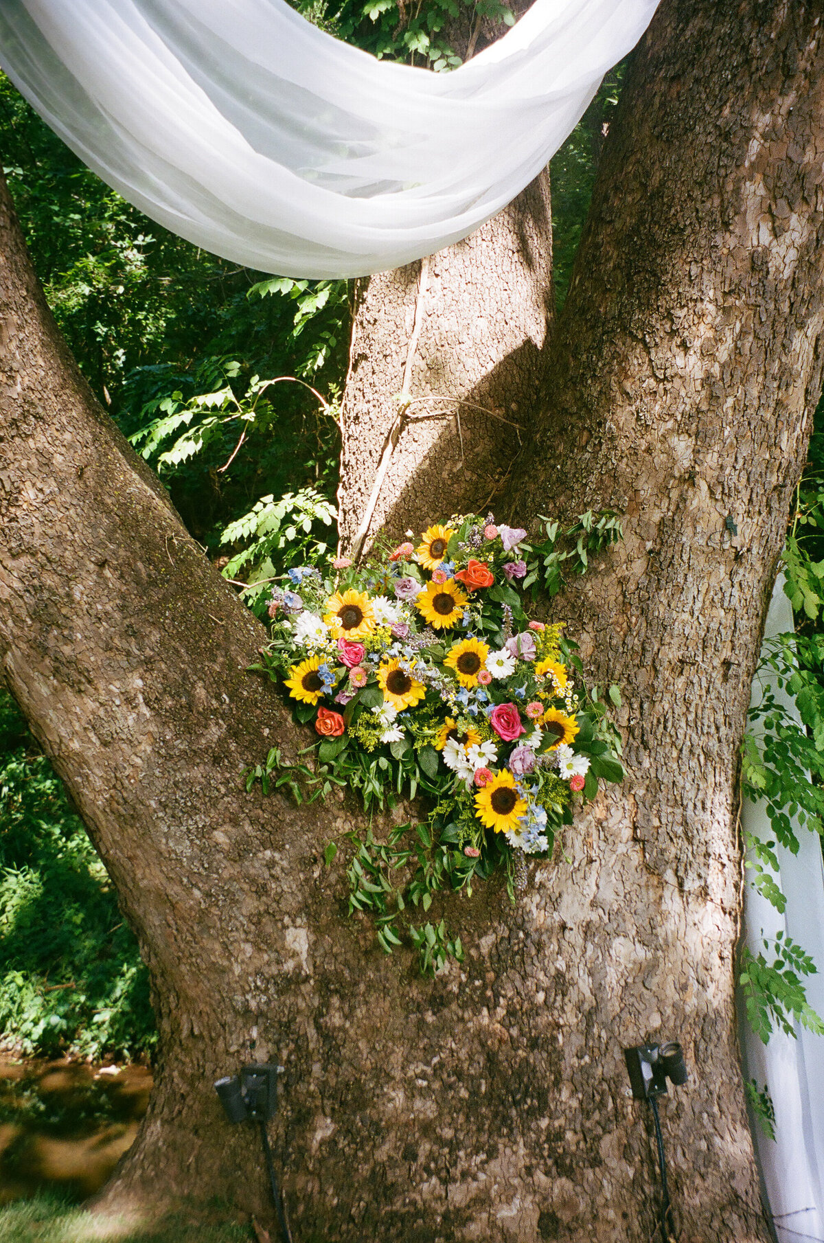 Emilee & Chris - Spain Ranch Wedding - 35mm Film Scans-80