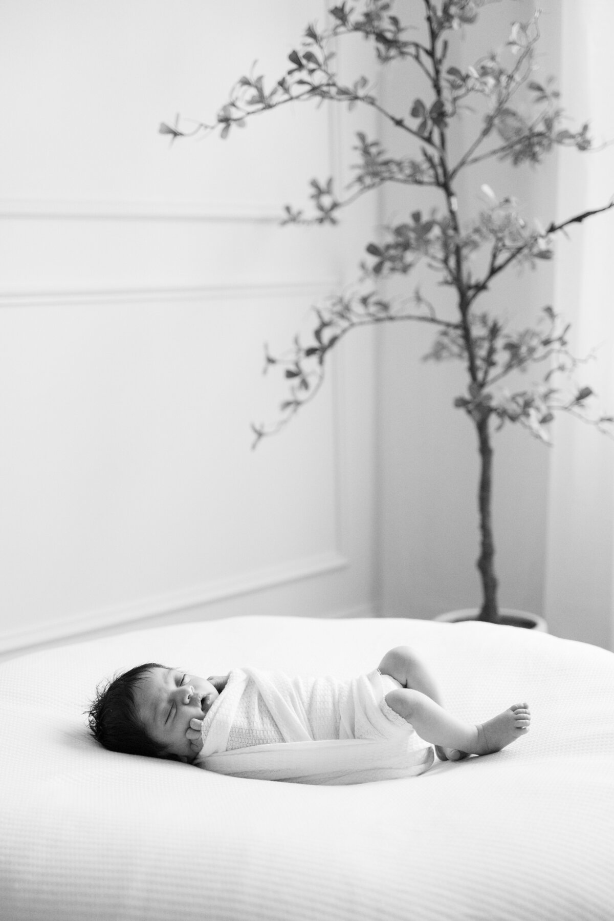 Bean bag pose ideas for newborns, Bartlett, IL