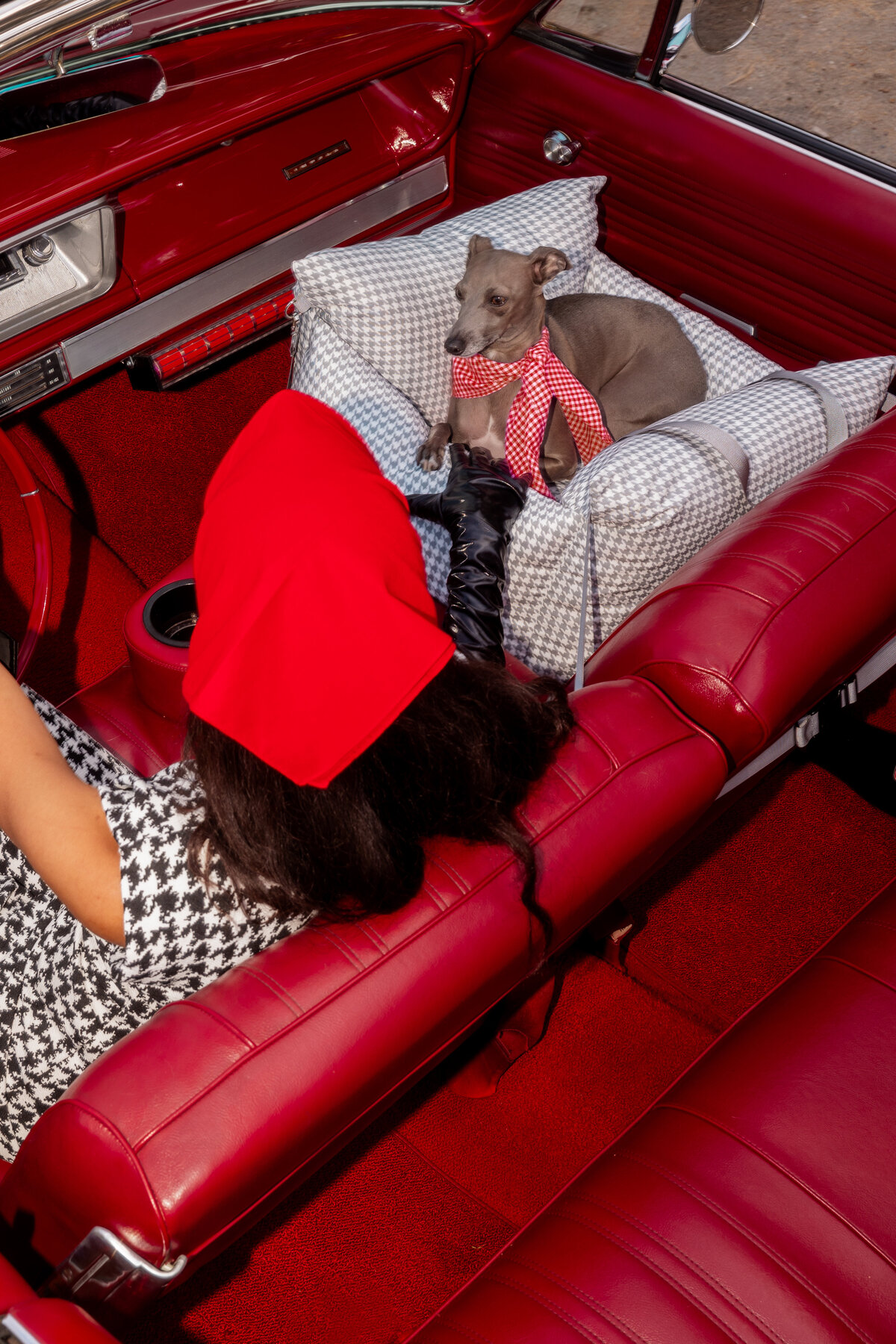 Lesure vintage car_-6