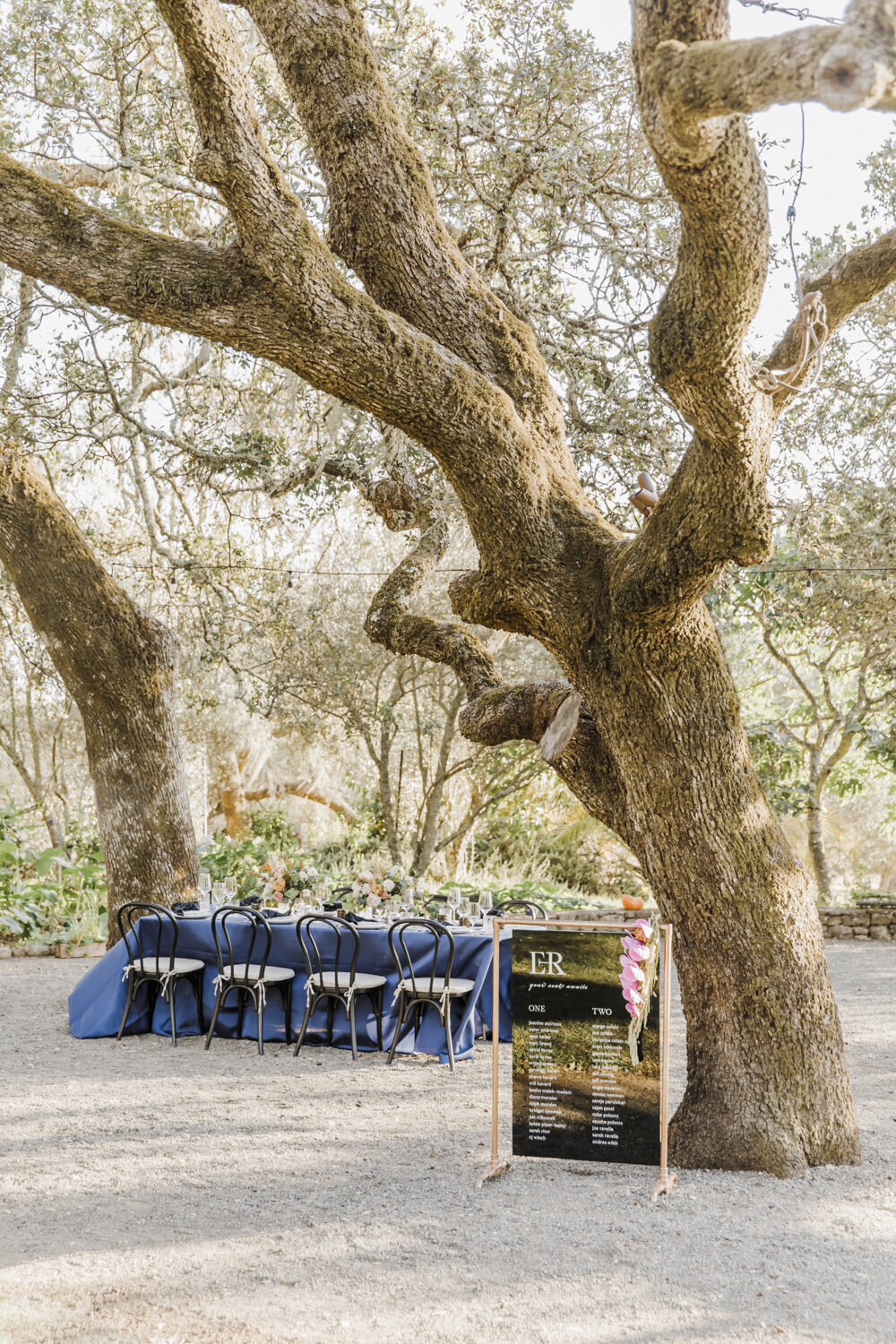 PERRUCCIPHOTO_SONOMA_WEDDING_27