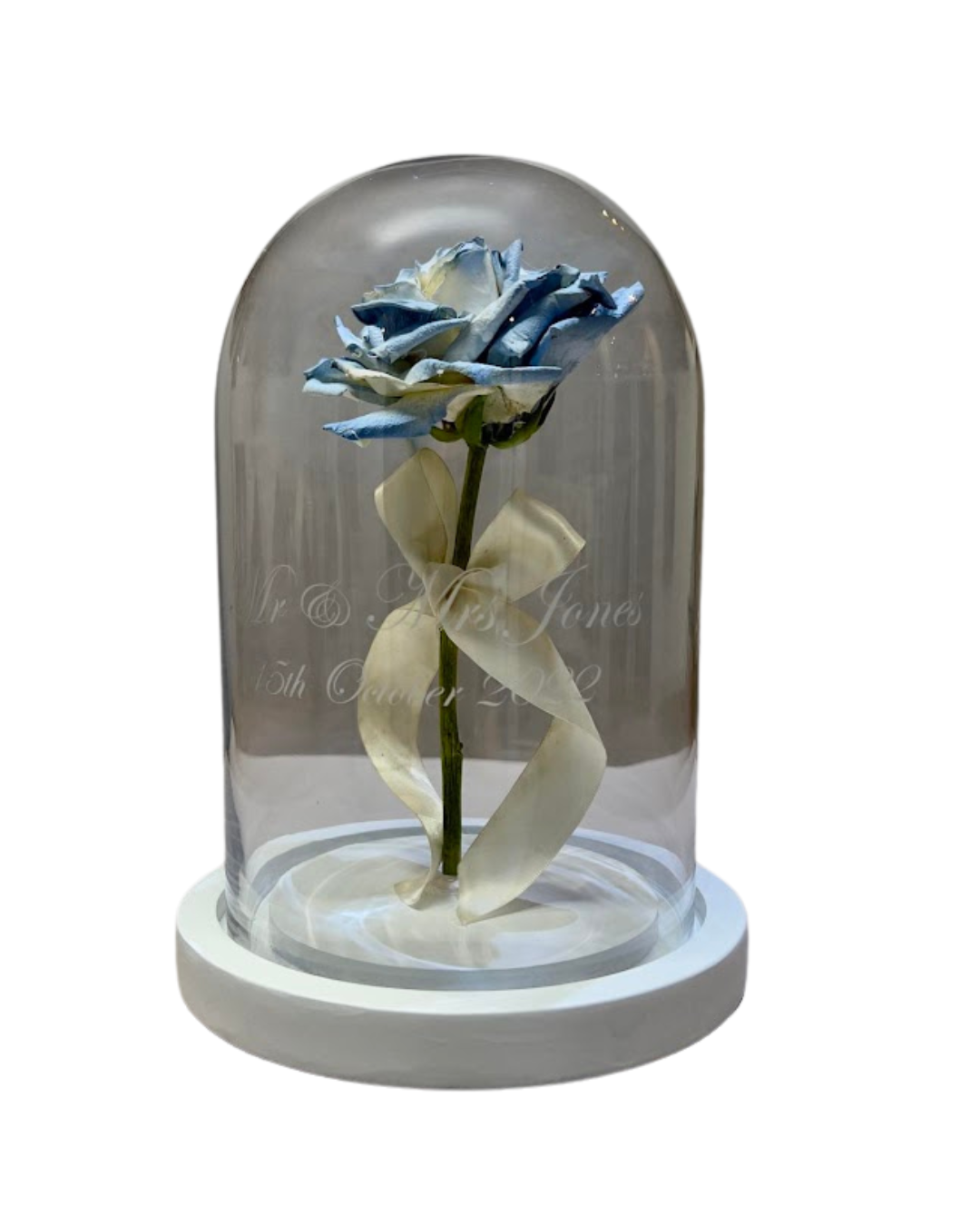 Preserved rose in dome