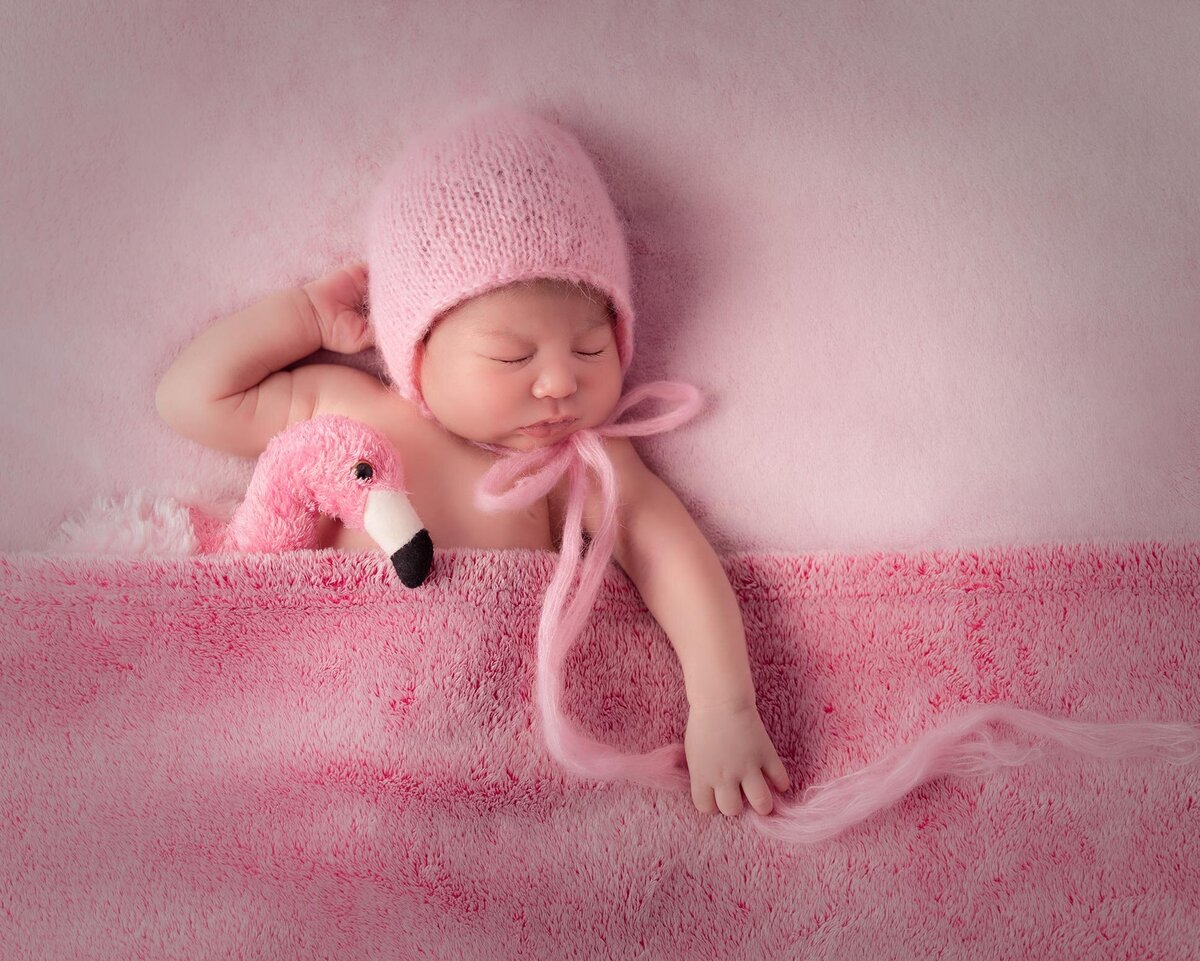 Tally Safdie Photography newborn session baby girl flamingo pink
