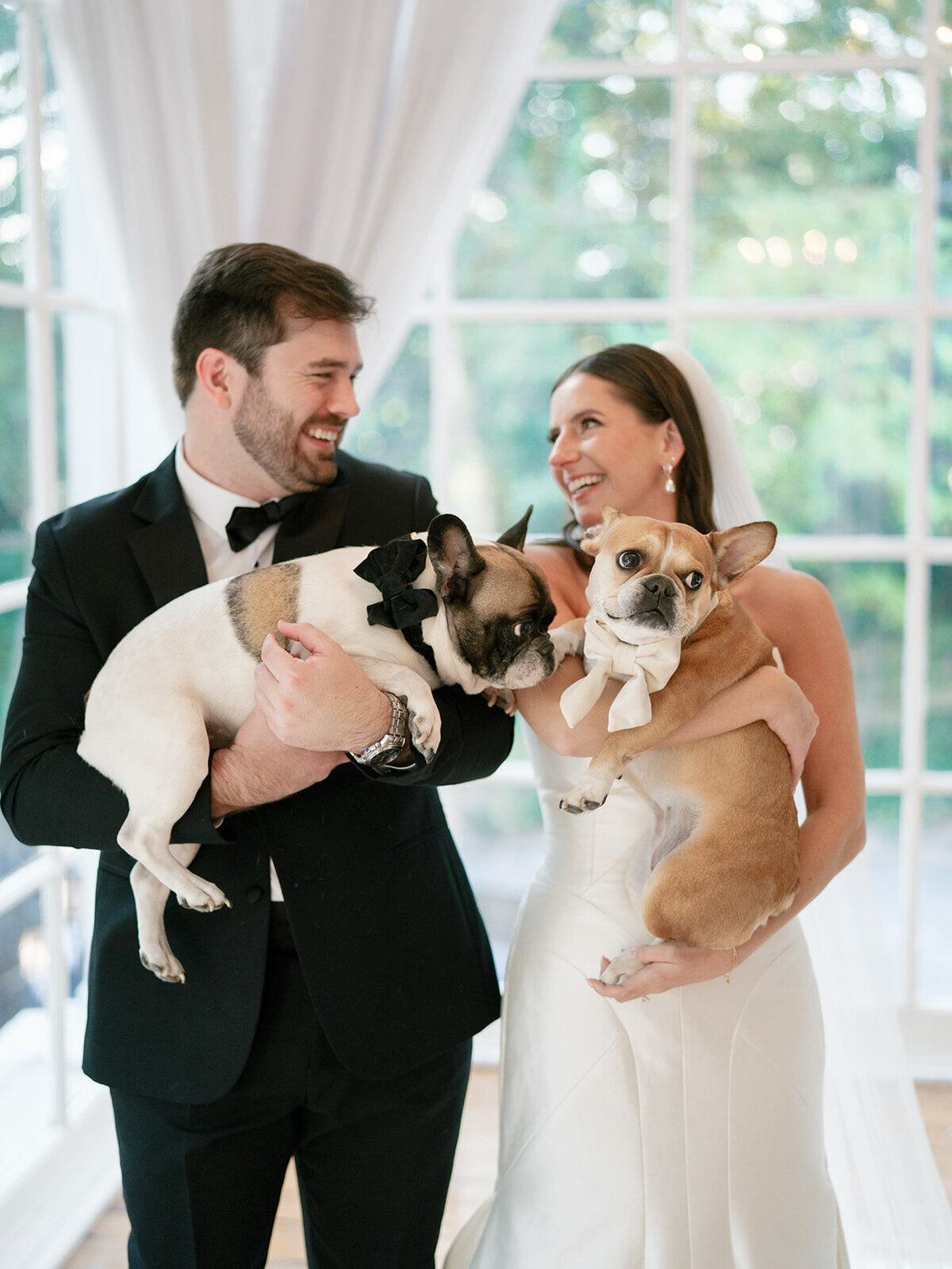 bride and groom with two dogs