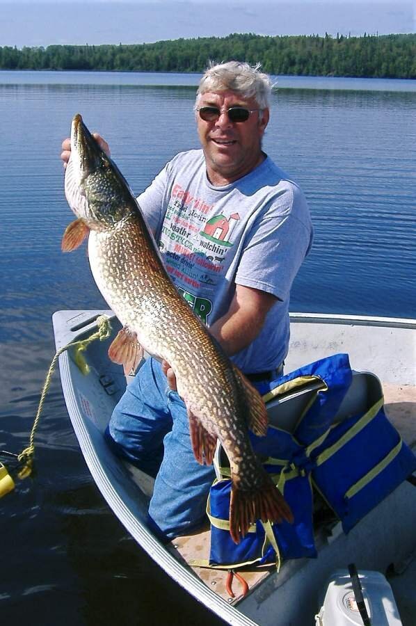 Sid 43 inch northern glitter
