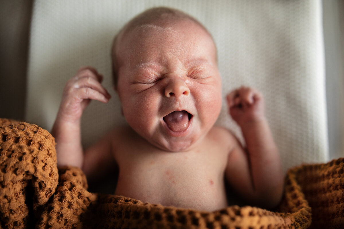 Madelyne-Dawson-Photography-Boynton-Beach-FL-Family-Photographer-Lincoln-Fresh48-23