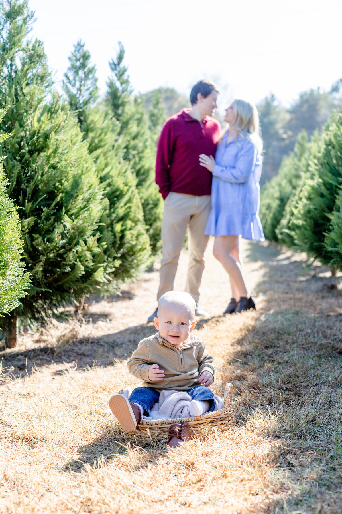 ChristmasTreeFarmMiniSessionGreenvilleSCJennyMacyPhotography-KellyB-45