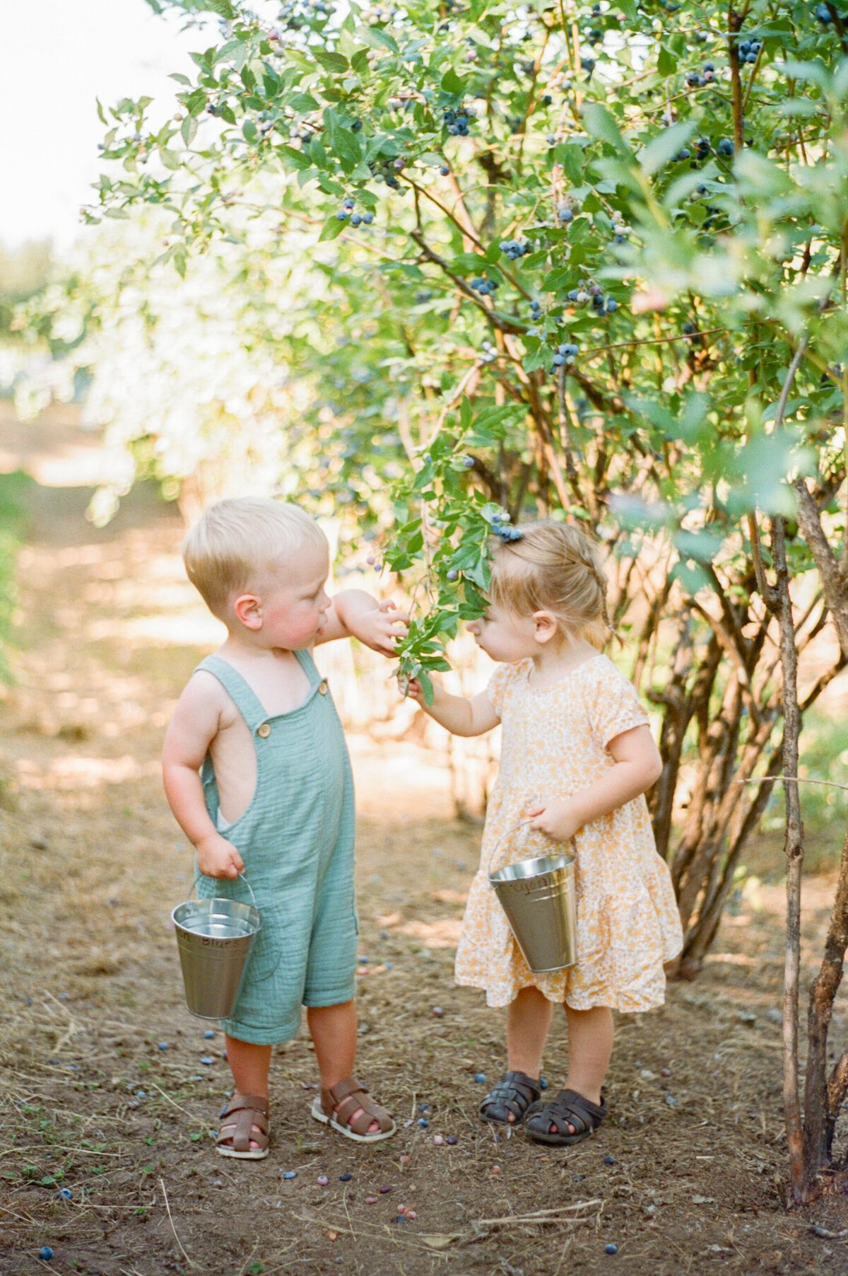 Emilie Phillipson Photography-4