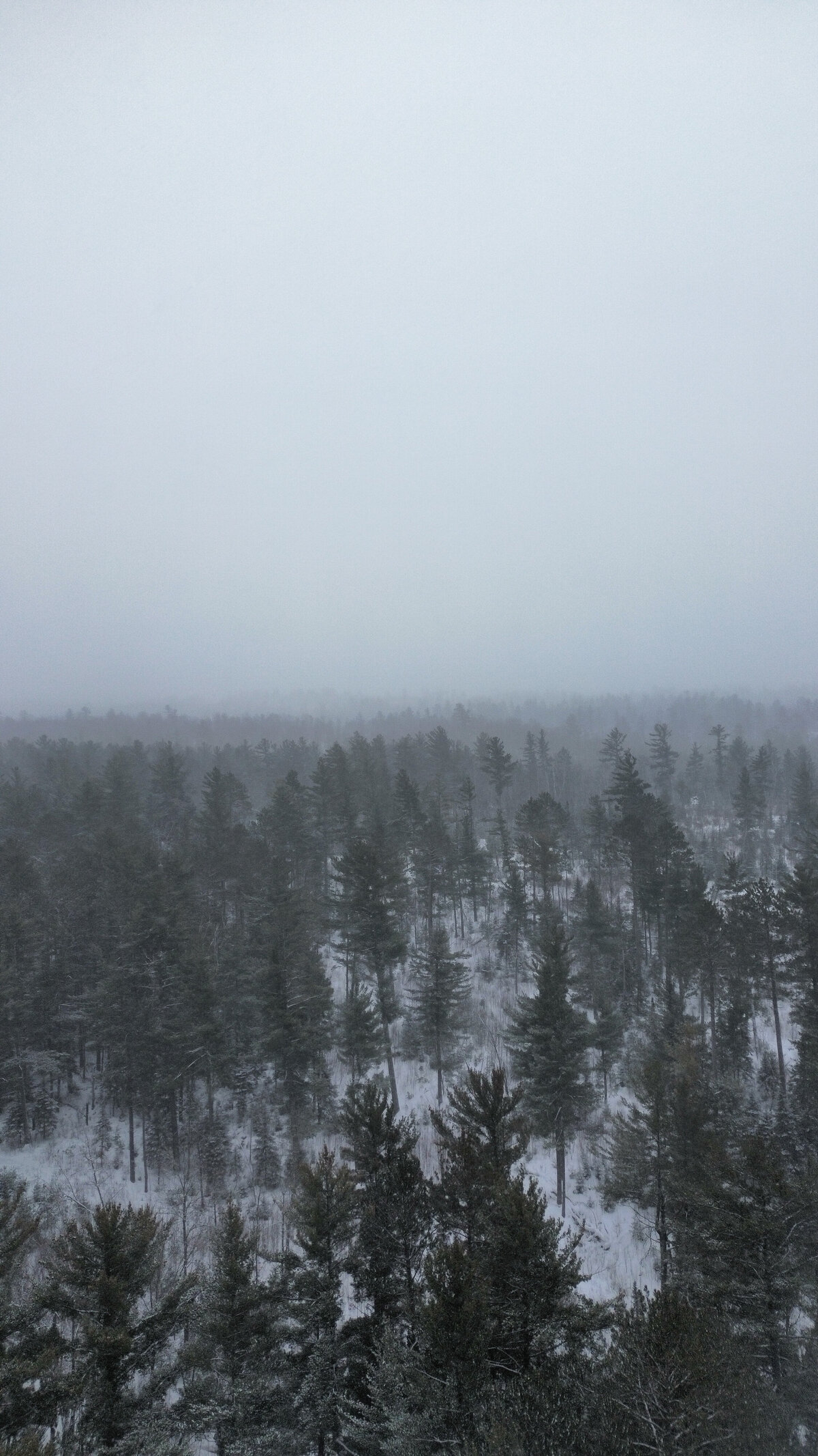 dji_fly_20250124_053002_737_1737915548438_photo_optimized